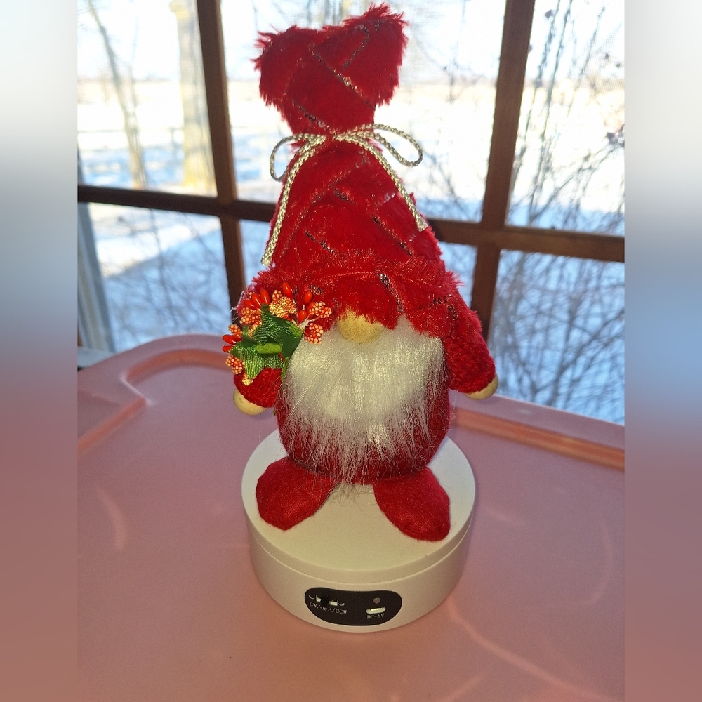 Valentines Gnome NEW